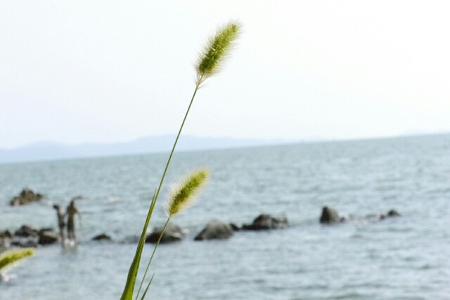 f:id:nagoyaman:20160817003811j:image f:id:nagoyaman:20160817003811j:image