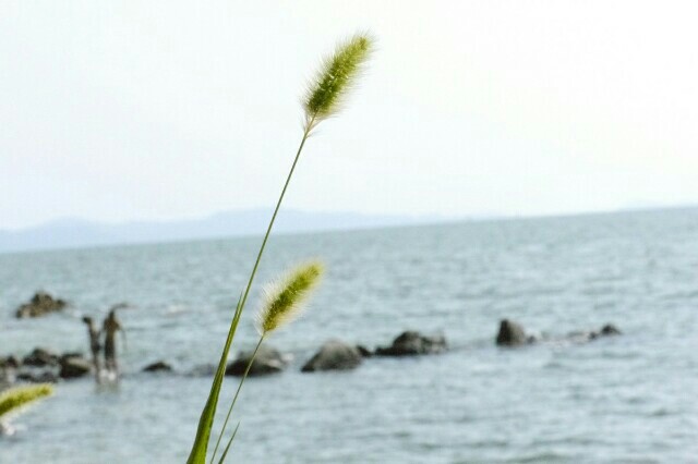 f:id:nagoyaman:20160831161442j:image