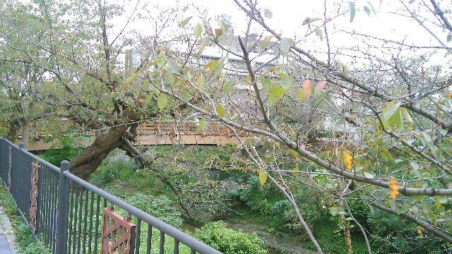 f:id:nagoyaman:20161021012121j:image