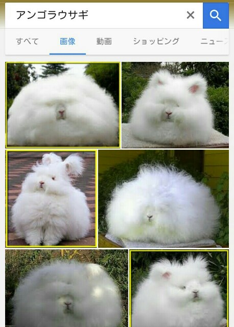 f:id:nagoyaman:20161114232112j:image