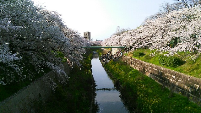f:id:nagoyaman:20170422125718j:image