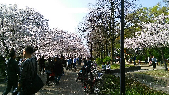 f:id:nagoyaman:20170422125827j:image