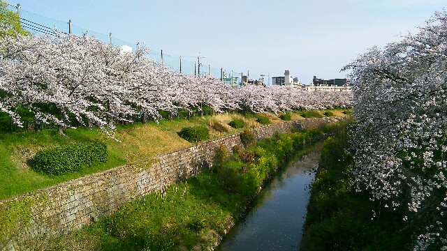 f:id:nagoyaman:20170422125935j:image