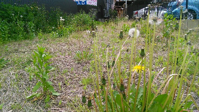 f:id:nagoyaman:20170504000852j:image