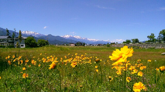 f:id:nagoyaman:20170612195810j:image