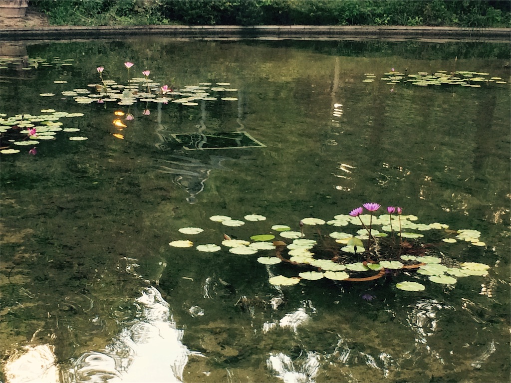f:id:nagoyaman:20180917203255j:image