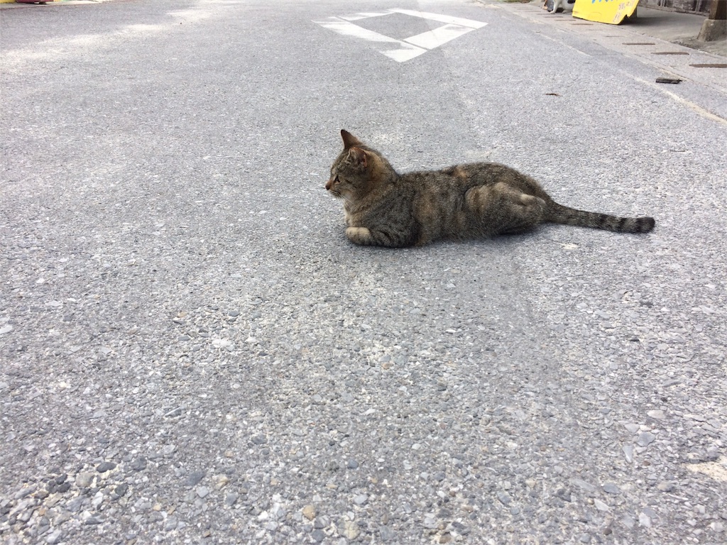 f:id:nagoyaman:20181204211007j:image