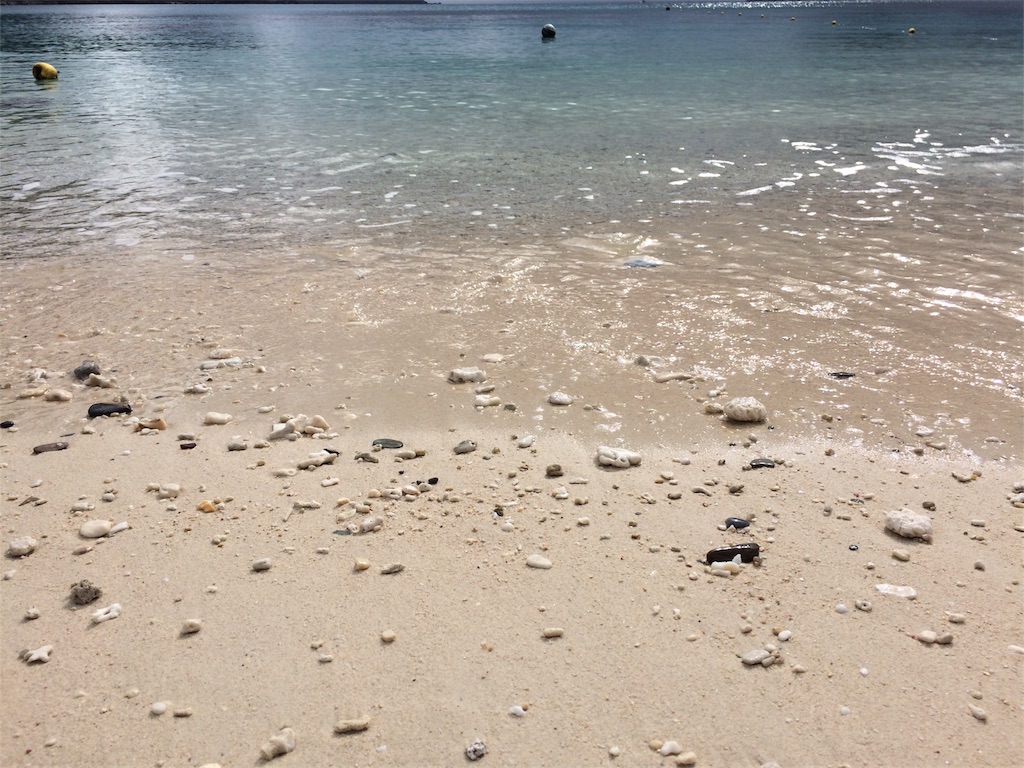 f:id:nagoyaman:20181206002235j:image