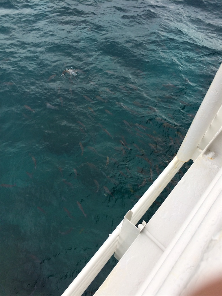 f:id:nagoyaman:20181207003148j:image