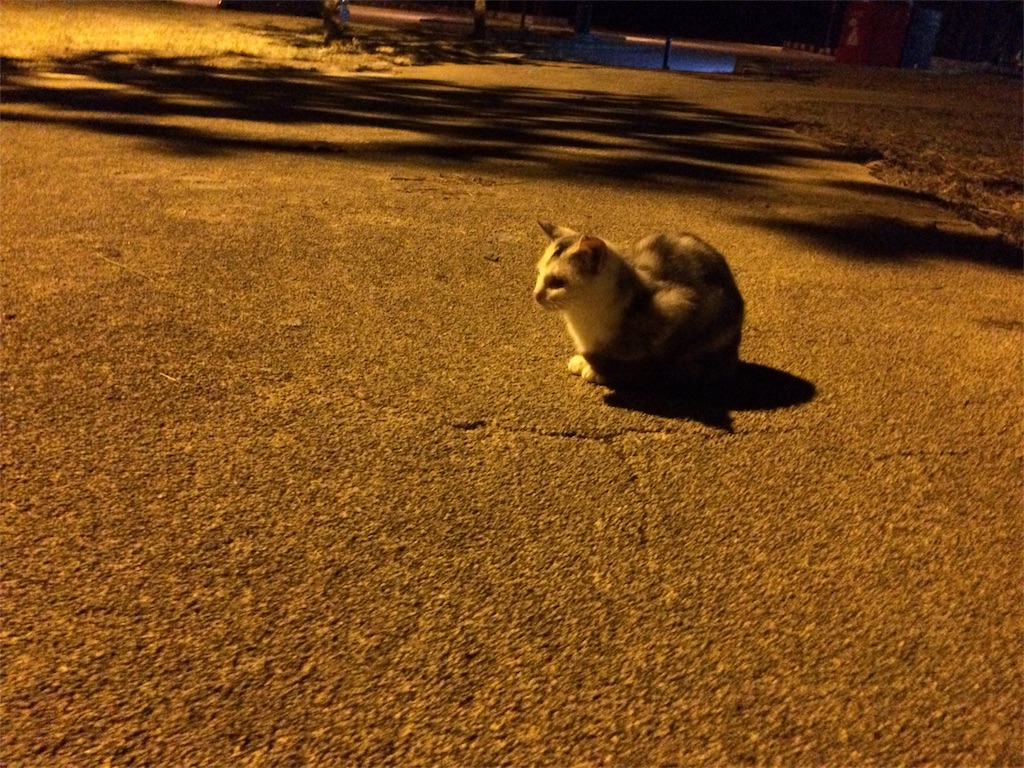 f:id:nagoyaman:20181208082441j:image