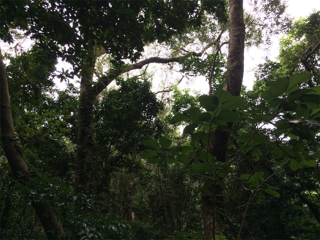 f:id:nagoyaman:20181209232649j:image