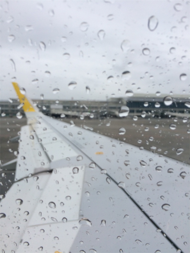 f:id:nagoyaman:20181214204834j:image