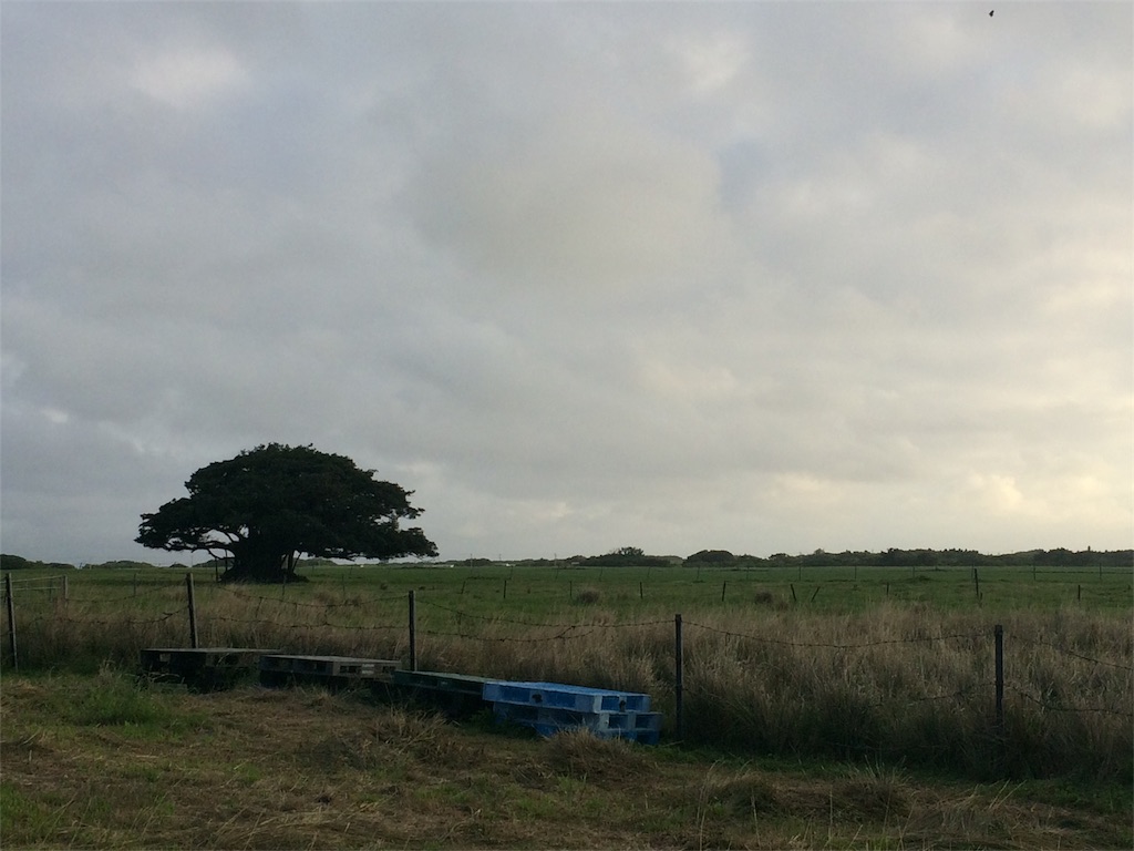 f:id:nagoyaman:20181214194041j:image