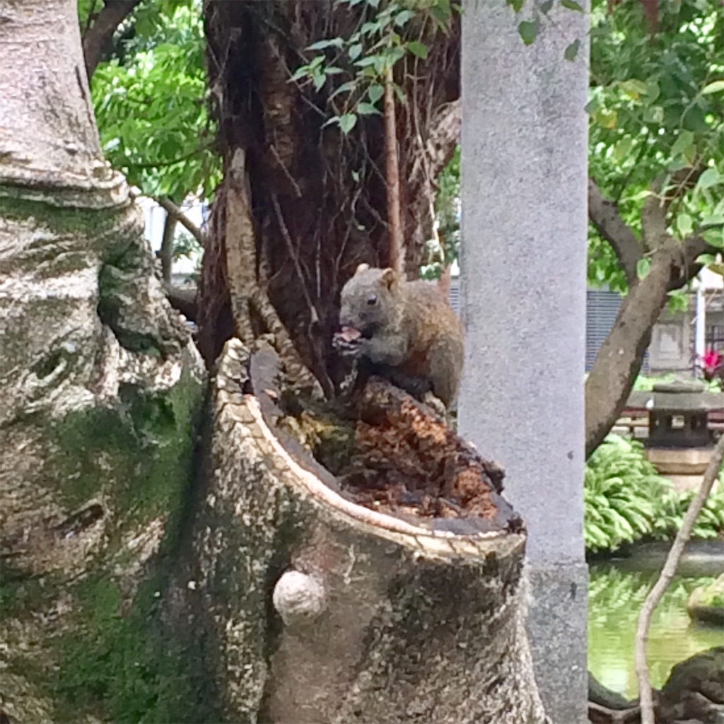 f:id:nagoyaman:20190106233140j:image