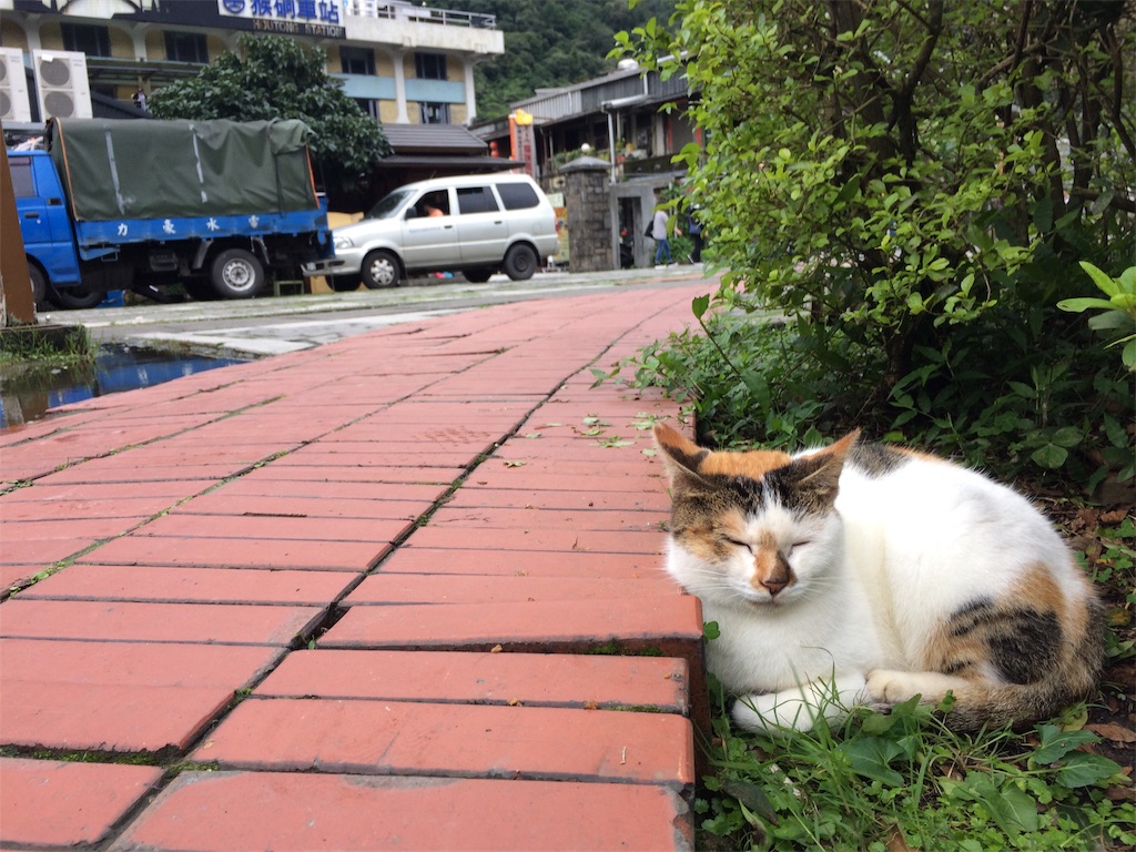 f:id:nagoyaman:20190107233451j:image