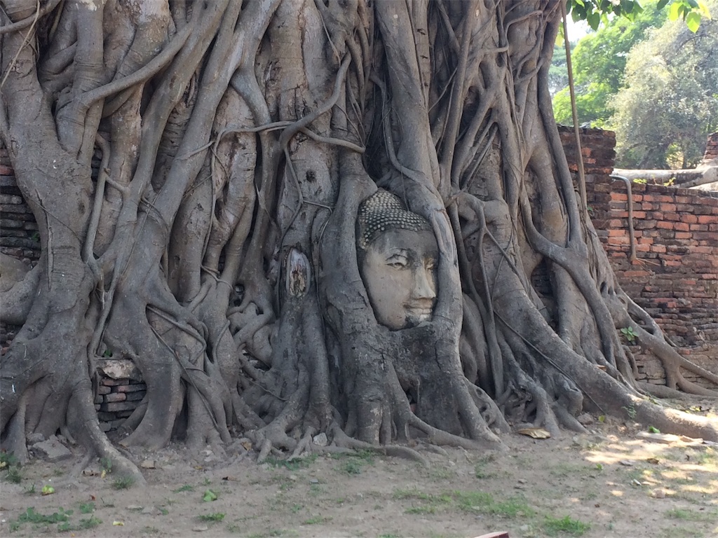 f:id:nagoyaman:20190211014425j:image