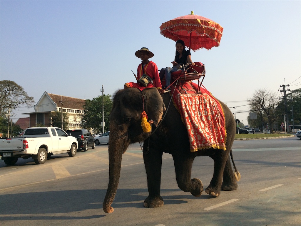 f:id:nagoyaman:20190211014040j:image