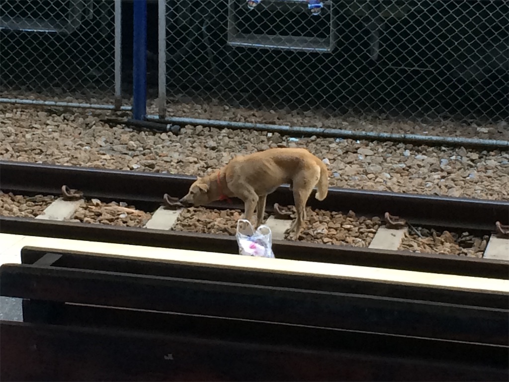 f:id:nagoyaman:20190221014802j:image