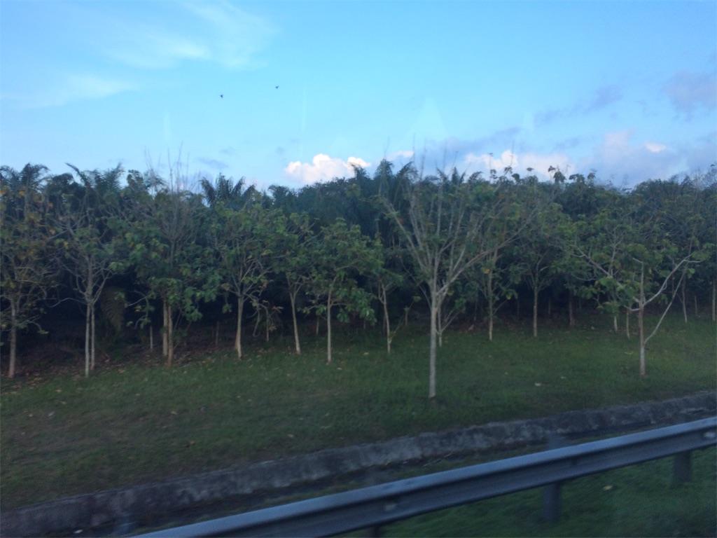 f:id:nagoyaman:20190221021214j:image