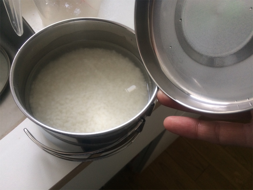 f:id:nagoyaman:20190330131843j:image