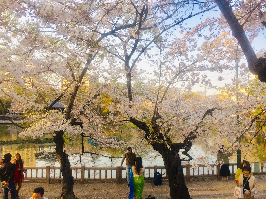 f:id:nagoyaman:20190409143604j:image