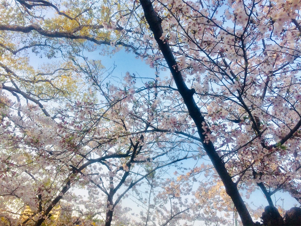 f:id:nagoyaman:20190409143556j:image