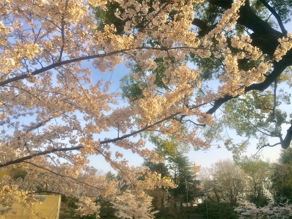 f:id:nagoyaman:20190409143614j:image