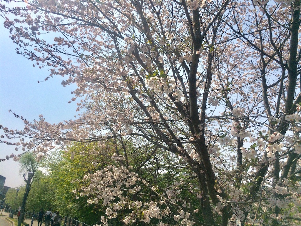 f:id:nagoyaman:20190409153817j:image