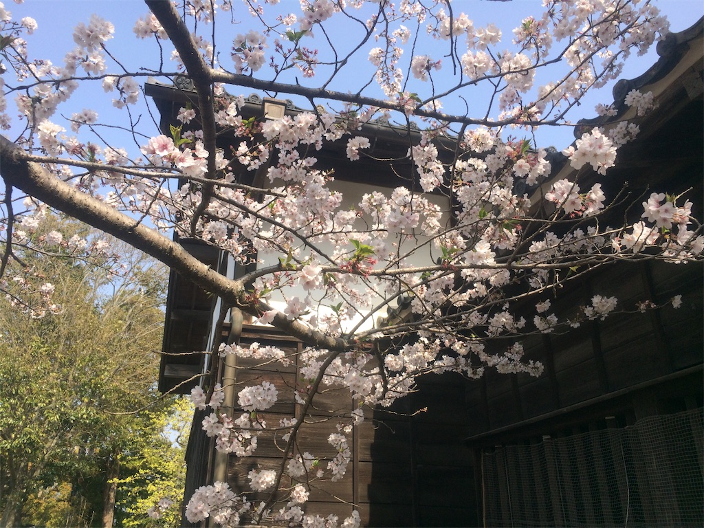 f:id:nagoyaman:20190409153928j:image