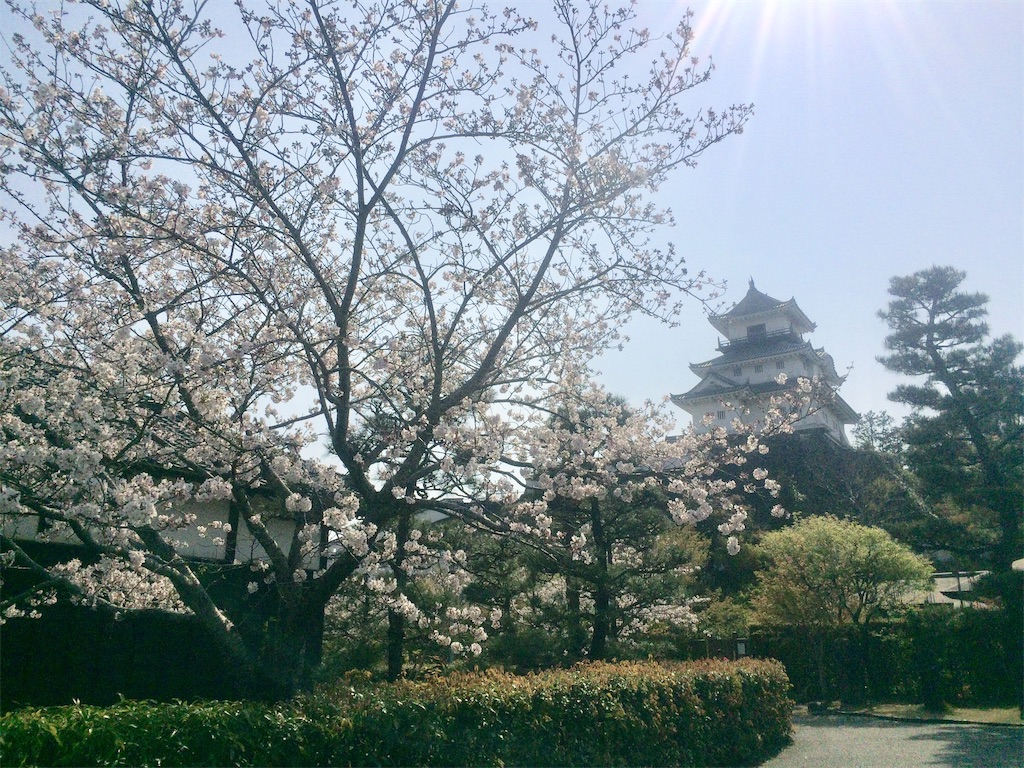 f:id:nagoyaman:20190409153933j:image