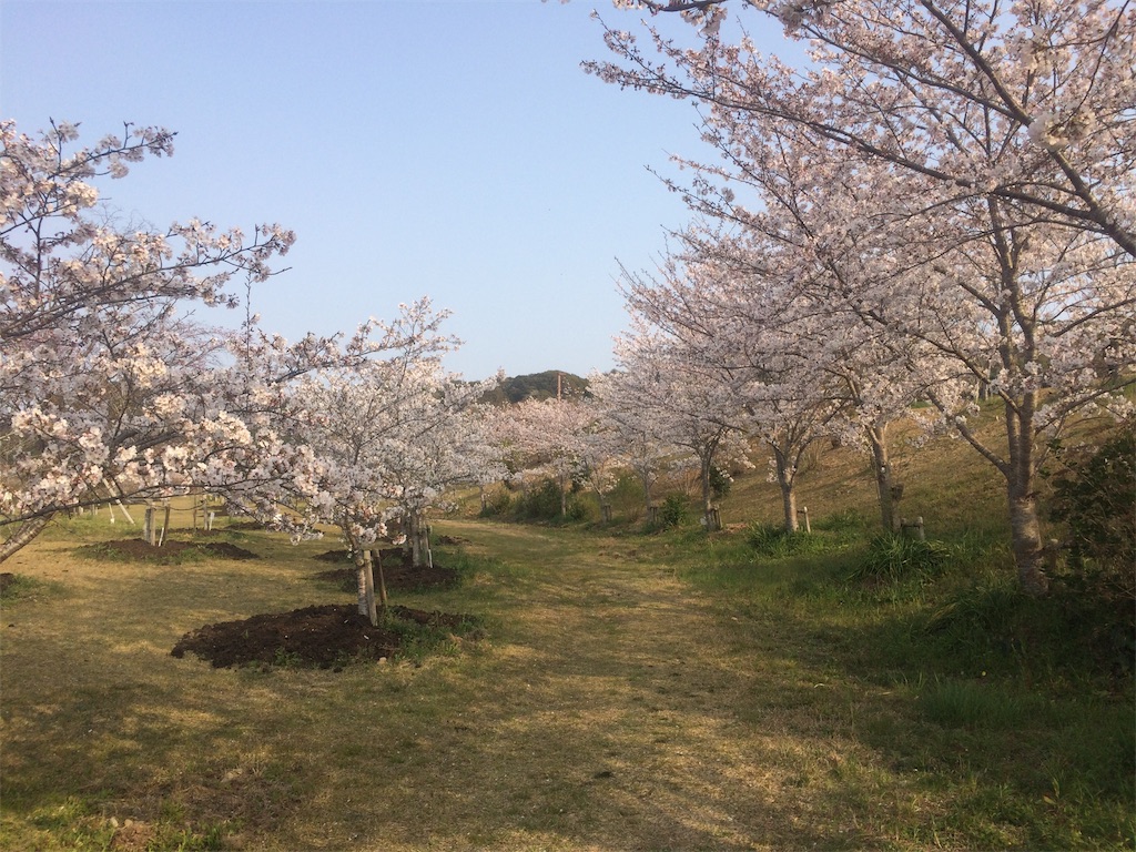 f:id:nagoyaman:20190409153949j:image