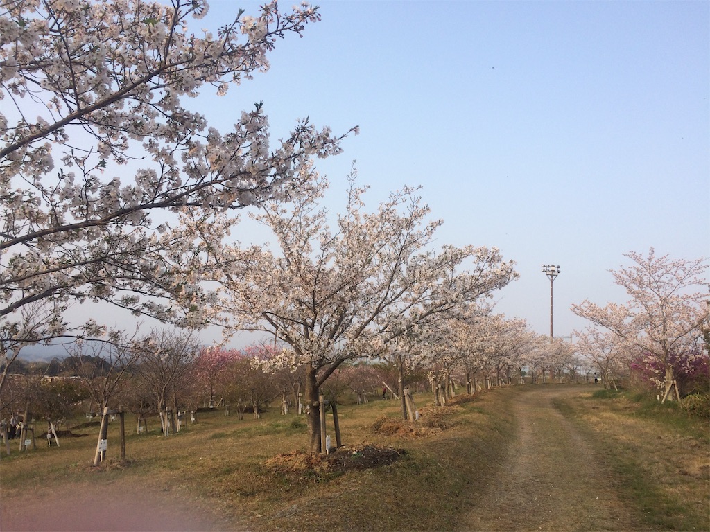 f:id:nagoyaman:20190409154318j:image