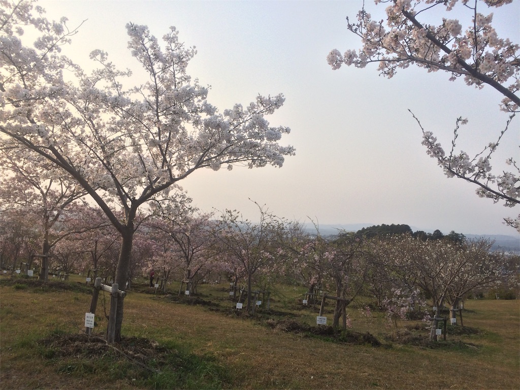 f:id:nagoyaman:20190409154302j:image