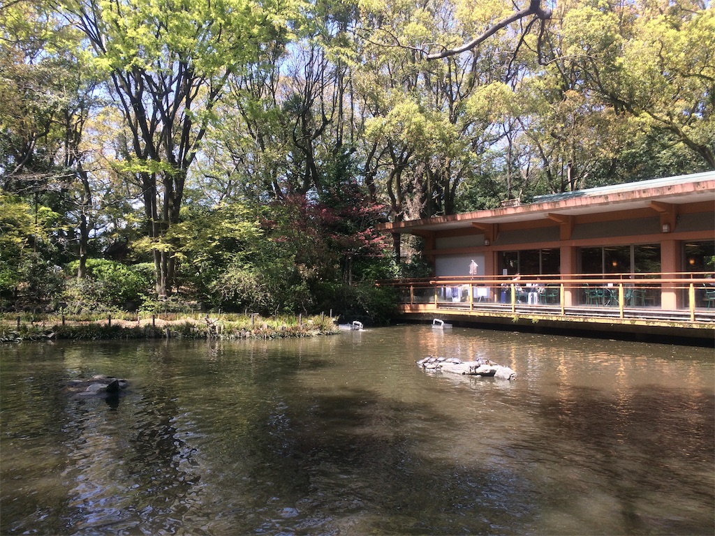 f:id:nagoyaman:20190410144726j:image