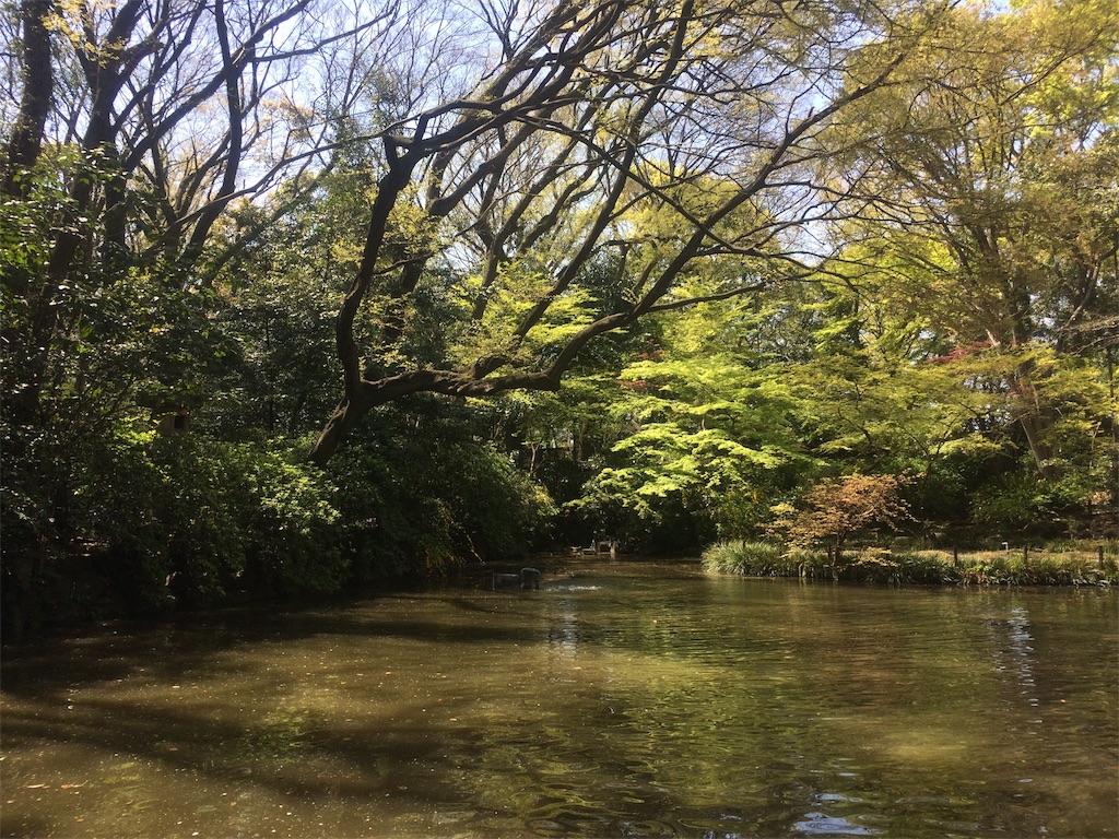 f:id:nagoyaman:20190410144853j:image