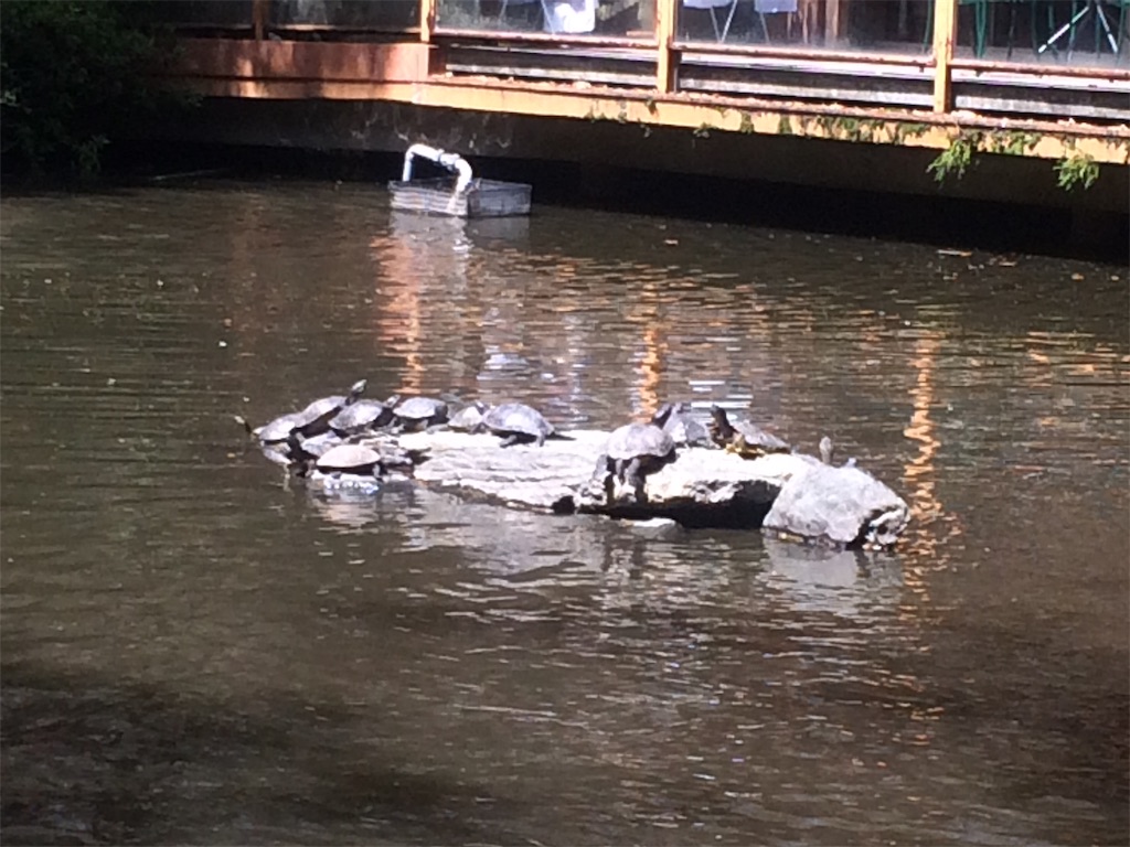 f:id:nagoyaman:20190410144654j:image