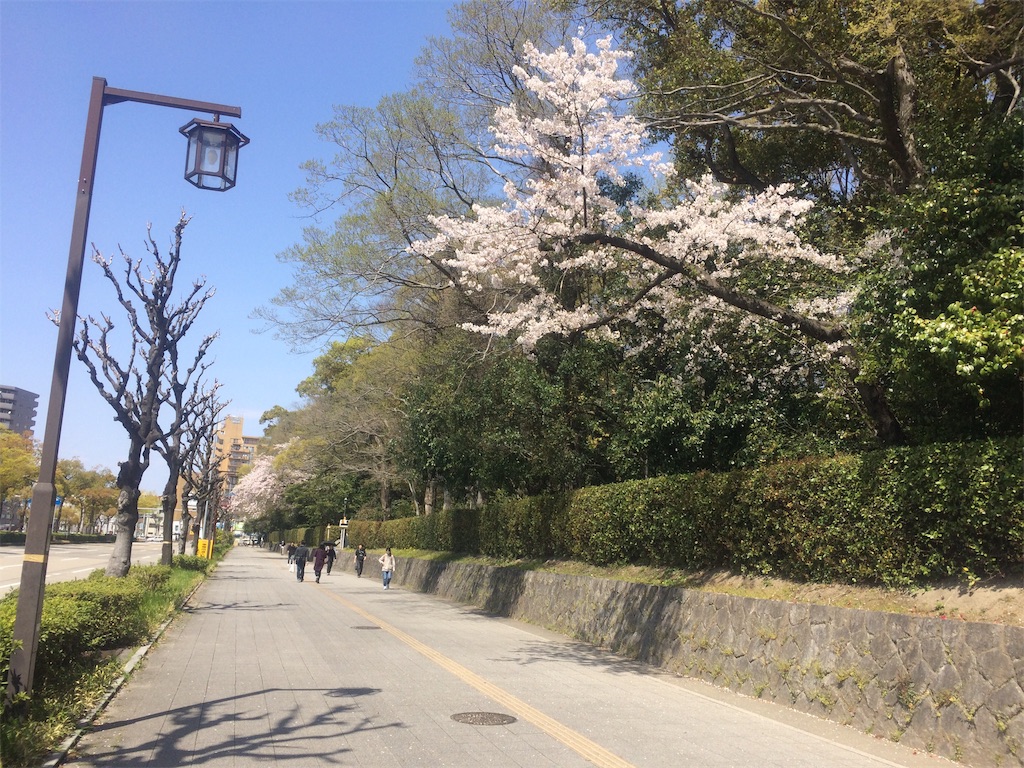 f:id:nagoyaman:20190410144804j:image