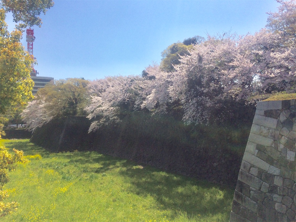 f:id:nagoyaman:20190410161910j:image