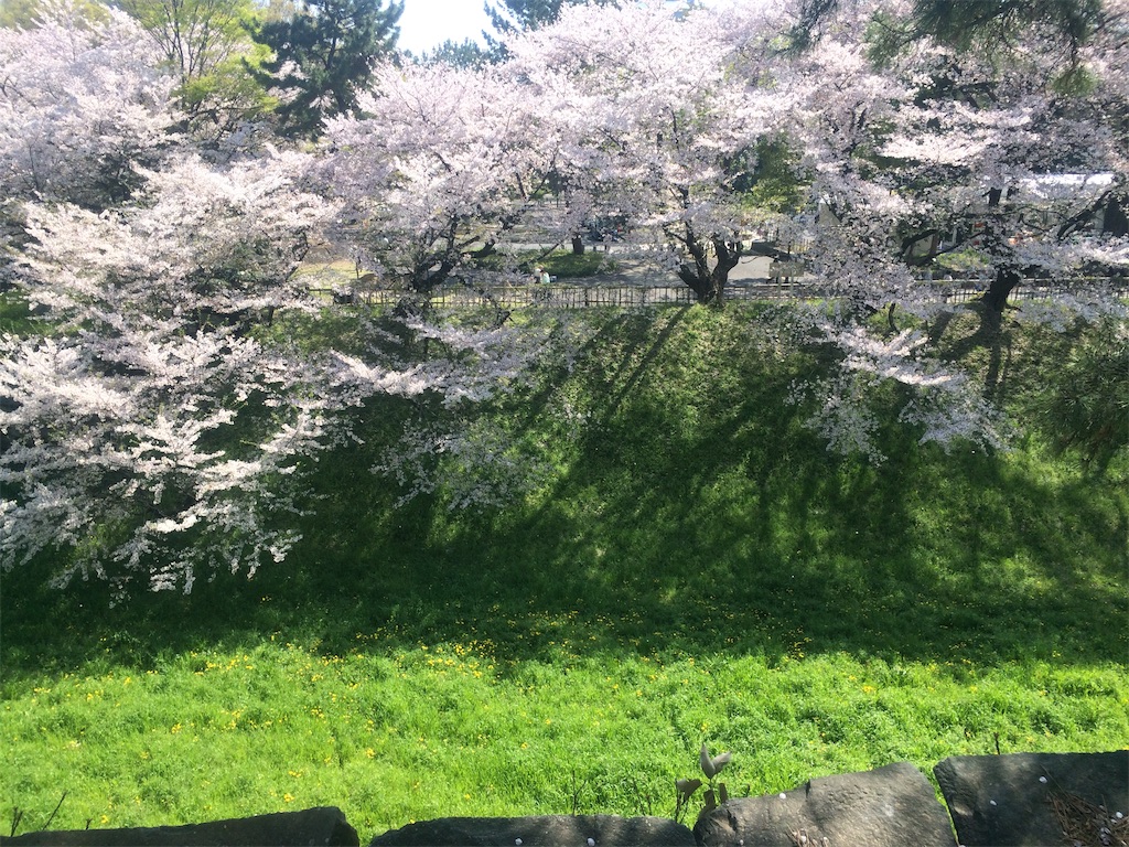 f:id:nagoyaman:20190411093322j:image