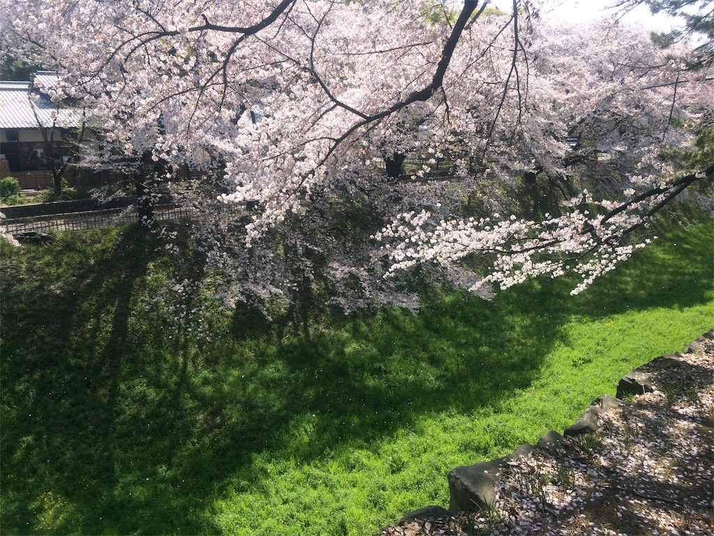 f:id:nagoyaman:20190411093607j:image