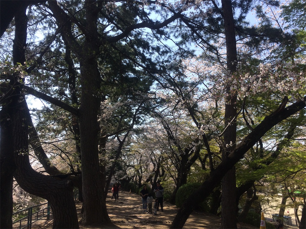 f:id:nagoyaman:20190411093034j:image