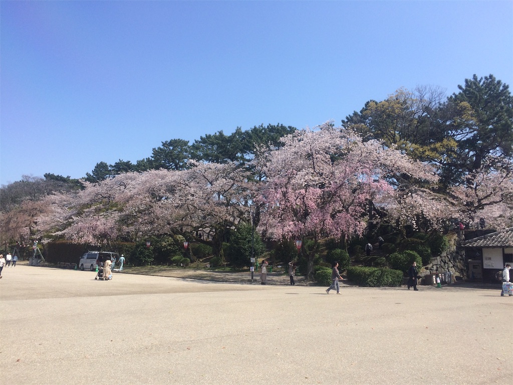 f:id:nagoyaman:20190411092944j:image
