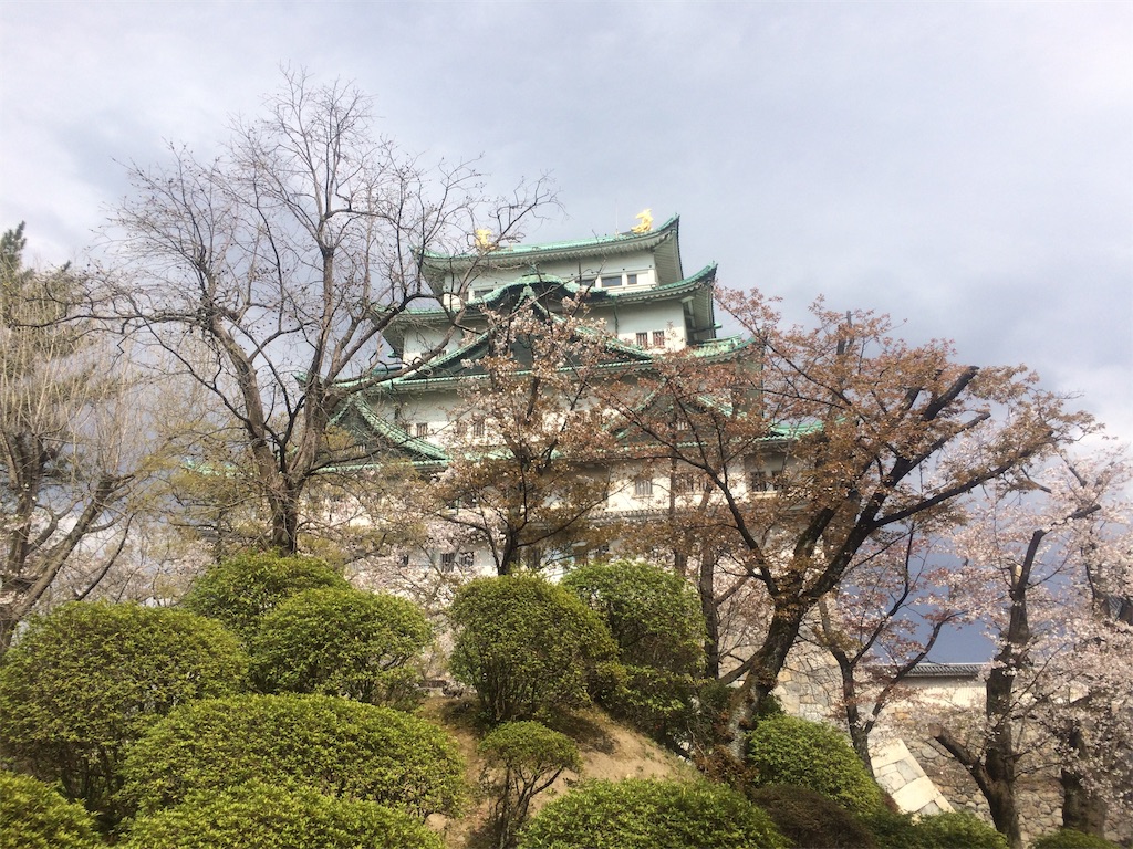 f:id:nagoyaman:20190411093633j:image