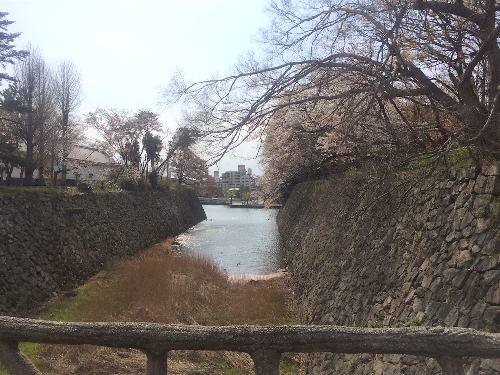 f:id:nagoyaman:20190411093115j:image