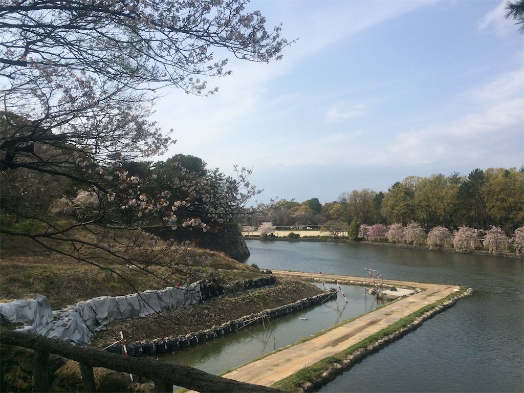 f:id:nagoyaman:20190411093011j:image