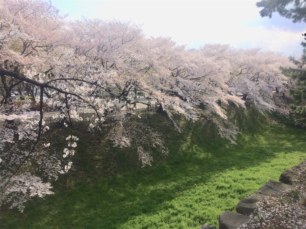 f:id:nagoyaman:20190411093202j:image