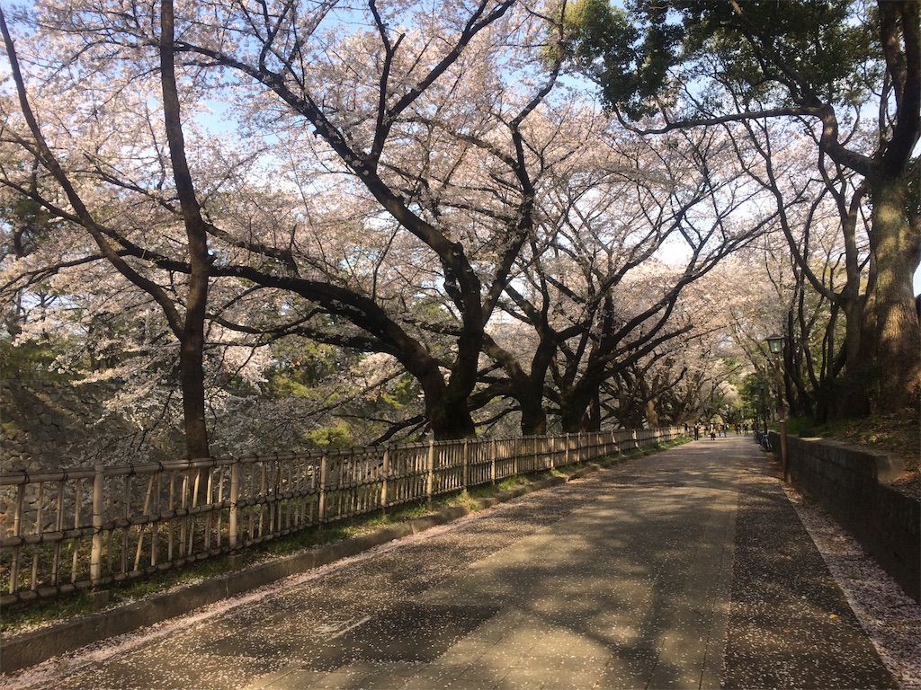 f:id:nagoyaman:20190411093131j:image
