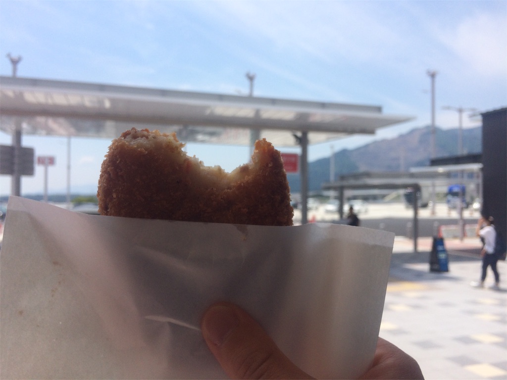 f:id:nagoyaman:20190513113620j:image