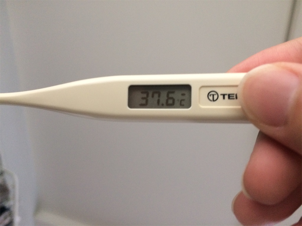 f:id:nagoyaman:20190617172936j:image