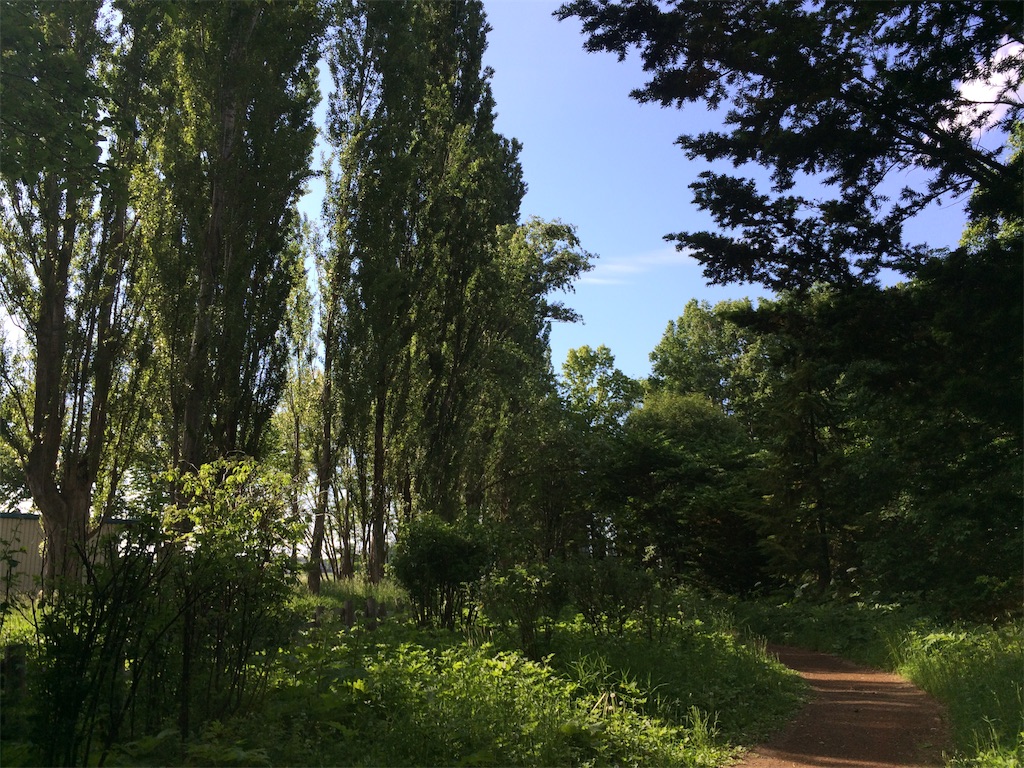 f:id:nagoyaman:20190715160602j:image